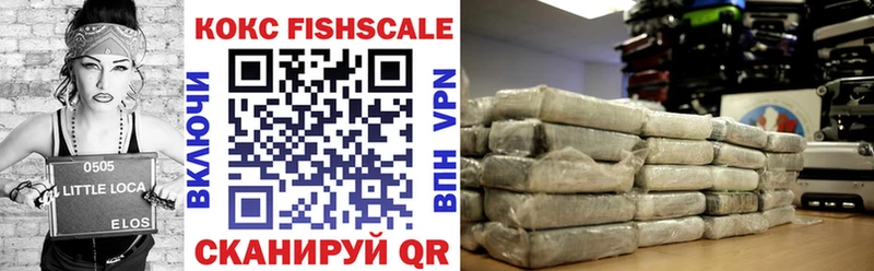 Купить где  Питкяранта  Кокаин FishScale 