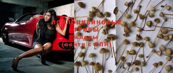 дурь Балахна