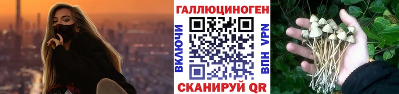 Купить где  Питкяранта  Галлюциногенные грибы ЛСД 